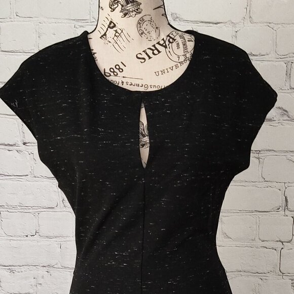 Aritzia Wilfred black panels Fit & Flare Cap Sleeve Dress sz 8 Skater - Picture 3 of 9